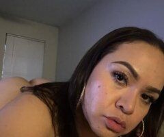 Houston escorts - Thick Latin - 27