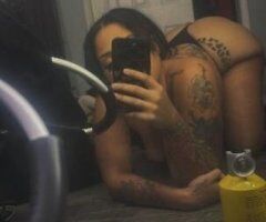SEXY STALLION 😍 - Image 2