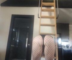 southern belle - 34 - Image 2