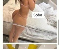 Bridgeport escorts - yurisleydy