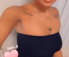 Pretty Petite Treat Available Now - Image 5