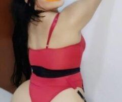 Albany escorts - 2 Wolf Road, Albany, NY 12205, Estados Unidos