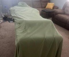 Northern Virginia escorts - Thick women looking for fun - 37