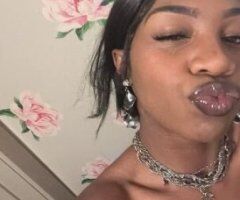 Sarasota/Bradenton escorts - BACK in Sarasota baby , come play with Lolo - 27