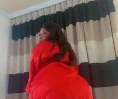 sexy thick kitten - Image 9