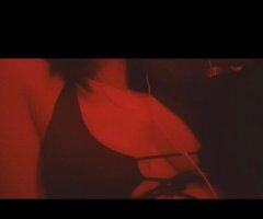 OUTCALLS ONLY!!! Your newest addiction! Catch me while you can! 💕 - 22 - Image 3
