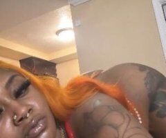 Dominican Honey🇩🇴🍯 - 22 - Image 2