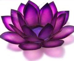 🌺SPRING ON OVER 🌺FULL BODY HOT 🔥 OIL MASSAGE. I OFFER MY TOTAL BODY PACKAGE ✨️ MANSCAPING AND MANICURED FROM HEAD TO TOES😘 - 53 - Image 10