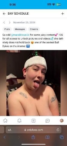 BULL DYKE FUNN - 1