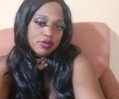 Lexington escorts - sexy eroctic classy domomican and black exotic ready to meet you