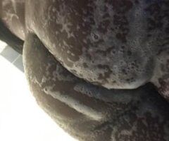 Ocala escorts - $80 QVS ! OUTCALLS & CAR DATES ONLY! BLACK MEN ONLY! - 26