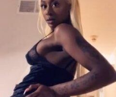 PANAMANIAN SUGAR BABY 🛑 NO BLACK🛑 - Image 2