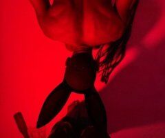 North Jersey escorts - On your knees....your rightful place - 25
