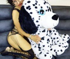North Bay escorts - ardiente latina - 27
