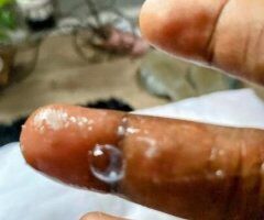🍑🍑🍑💦💦💦Cum. make. this wet. pussy cum 💦💦🍑🍑discreet. inbound. olny. - 30 - Image 2