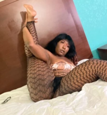🍪Come Take A Bite Of This Chocolate Treat🍪 - 1