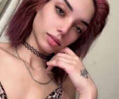 Manhattan escorts - lets meet!!!! read bottom please !!!