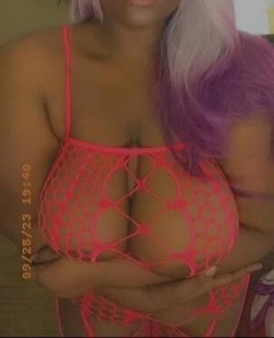 lawyers rd Bbw CERTAIN DAY SPECIALS 50qv - 1