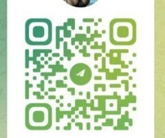 Available for 24/7 Incall /Outcall/ Car fun/Your house call/FaceTime shows✅ - 27 - Image 3
