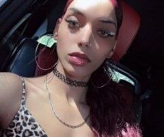 Manhattan escorts - lets meet!!!! read bottom please !!!