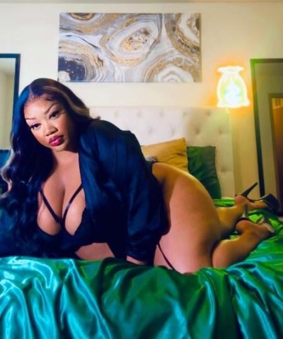 ✨Explore These Curves✨ - 1