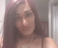 San Jose escorts - MEGAHEAD
