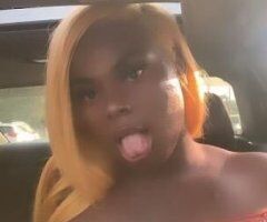 Rockford escorts - TS💦💦👄🍆