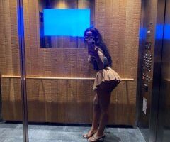 West Palm Beach escorts - Sexy Slim Chocolate Goddess - 20