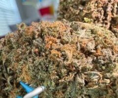 New Product 😊 ⛽💊your 420 needs ⛽🔥 - Image 4