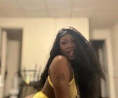 Albany escorts - Sammie Baby Fan Favorite
