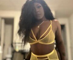 Sammie Baby Fan Favorite - Image 2