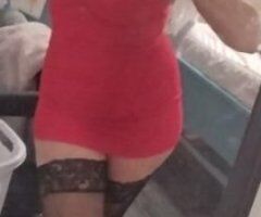rookie in town...teach me something new... available 24/7.... no outcalls! - Image 3
