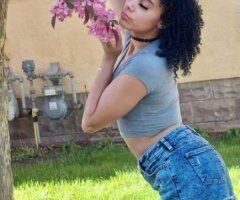 Sexy, Exotic, Melato - Image 3