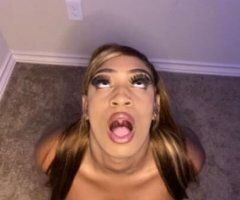 Synphoni ✨ IN CT!! Incall Windsor Locks!! Dont miss out on The Vitiligo Stallion seen on PORNHUB! - 26 - Image 6