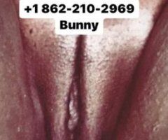 North Jersey escorts - 90 short stay holiday special