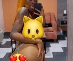 Houston escorts - ‼$40 FT SHOWS‼