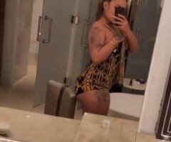 Lawton escorts - Welcome to your favorite Exotic Getaway