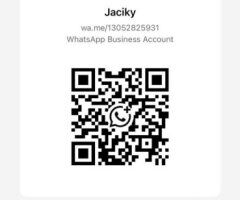 Only text my new number: 𝟯𝟬𝟱𝟰𝟰𝟵𝟰𝟭𝟮𝟬 old number unactive - 25 - Image 7