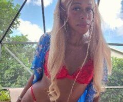 New York City escorts - 💰💰💰SEEKING A INDEPENDENT BOOKER💰💰💰