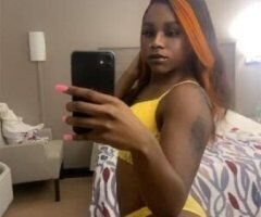 Tri-Cities escorts - WET WET 💦