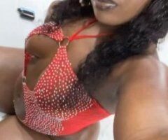 East African Squirter - Image 3
