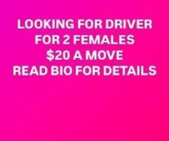 Washington D.C. escorts - NEED A NIGHT DRIVER FOR 2 FEMALES 🚗 READ BIO FIRST