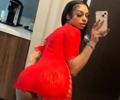Houston escorts - Mixbreed🫦💦💦