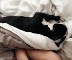 Tri-Cities escorts - 💦I'm sexy white girl💦Real Pictures💦Naughty and very Horny💦Sell videos💦