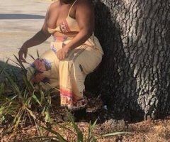 Tampa escorts - BBWP