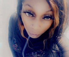North Bay escorts - 🌺Available With $pecials👑 ⭐Best🍫 Experience✨A sophisticated and discrete treat 🫦 💫🌹 - 27