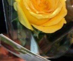 💎DIAMOND💎 Incall/Outcall - 26 - Image 6