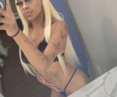 San Marcos escorts - SQUIRT ALERT 🚨🌊 Join Me For A Play Date🌈LETS FUCK DADDY