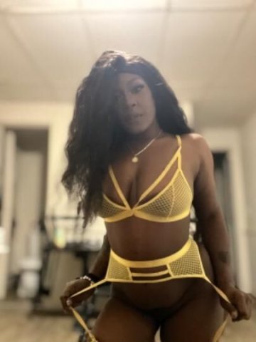 Sammie Baby Fan Favorite - 1