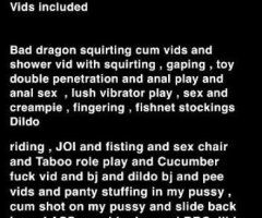 🚨NO MEETS 💋$40 FOR 300 VIDS AND 1100 PICS - READ THE AD DOWN BELOW - Image 6